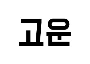 KPOP SHA SHA(샤샤、シャシャ) 고운 (コウン) 名前 応援ボード 作り方 通常