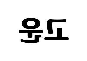 KPOP SHA SHA(샤샤、シャシャ) 고운 (コウン) コンサート用　応援ボード・うちわ　韓国語/ハングル文字型紙 左右反転