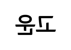 KPOP SHA SHA(샤샤、シャシャ) 고운 (コウン) k-pop アイドル名前 ファンサボード 型紙 左右反転