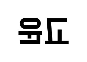 KPOP SHA SHA(샤샤、シャシャ) 고운 (コウン) 名前 応援ボード 作り方 左右反転