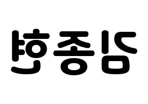 KPOP SHINee(샤이니、シャイニー) 종현 (ジョンヒョン) 応援ボード・うちわ　韓国語/ハングル文字型紙 左右反転