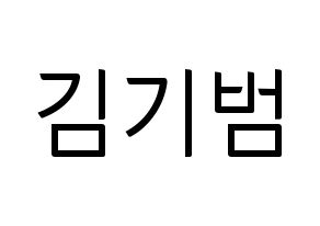 KPOP SHINee(샤이니、シャイニー) 키 (キー) コンサート用　応援ボード・うちわ　韓国語/ハングル文字型紙 通常