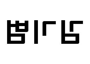 KPOP SHINee(샤이니、シャイニー) 키 (キム・キボム, キー) 応援ボード、うちわ無料型紙、応援グッズ 左右反転