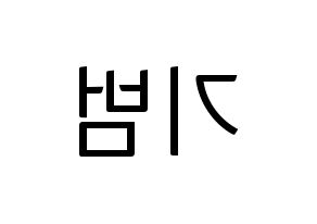 KPOP SHINee(샤이니、シャイニー) 키 (キー) コンサート用　応援ボード・うちわ　韓国語/ハングル文字型紙 左右反転