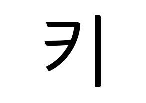 KPOP SHINee(샤이니、シャイニー) 키 (キー) コンサート用　応援ボード・うちわ　韓国語/ハングル文字型紙 通常