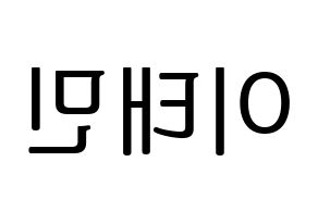 KPOP SHINee(샤이니、シャイニー) 태민 (テミン) プリント用応援ボード型紙、うちわ型紙　韓国語/ハングル文字型紙 左右反転