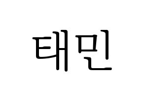 KPOP SHINee(샤이니、シャイニー) 태민 (テミン) 応援ボード・うちわ　韓国語/ハングル文字型紙 通常