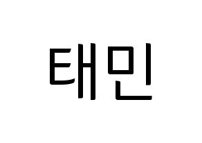 KPOP SHINee(샤이니、シャイニー) 태민 (テミン) コンサート用　応援ボード・うちわ　韓国語/ハングル文字型紙 通常