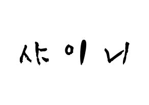 KPOP歌手 SHINee(샤이니、シャイニー) 応援ボード型紙、うちわ型紙　韓国語/ハングル文字 通常