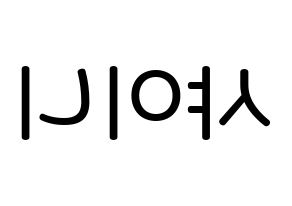 無料 KPOP SHINee(샤이니、シャイニー) 無料応援ボード屋さん 左右反転