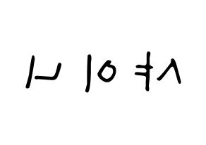 KPOP SHINee(샤이니、シャイニー) 応援ボード ハングル 型紙  左右反転