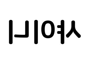 KPOP SHINee(샤이니、シャイニー) k-pop ボード ハングル表記 言葉 左右反転
