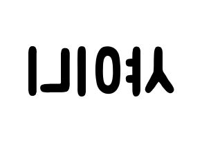 KPOP歌手 SHINee(샤이니、シャイニー) 応援ボード型紙、うちわ型紙　韓国語/ハングル文字 左右反転