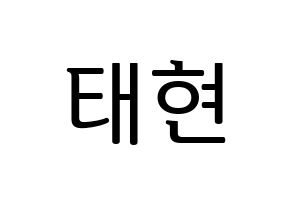 KPOP South Club(사우스클럽、サウスクラブ) 남태현 (ナム・テヒョン) プリント用応援ボード型紙、うちわ型紙　韓国語/ハングル文字型紙 通常