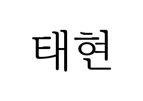 KPOP South Club(사우스클럽、サウスクラブ) 남태현 (ナム・テヒョン) 応援ボード・うちわ　韓国語/ハングル文字型紙 通常