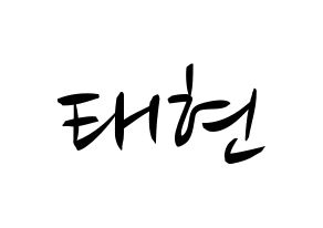 KPOP South Club(사우스클럽、サウスクラブ) 남태현 (ナム・テヒョン) k-pop 応援ボード メッセージ 型紙 通常