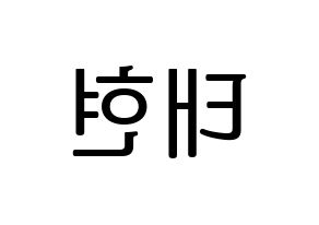 KPOP South Club(사우스클럽、サウスクラブ) 남태현 (ナム・テヒョン) プリント用応援ボード型紙、うちわ型紙　韓国語/ハングル文字型紙 左右反転