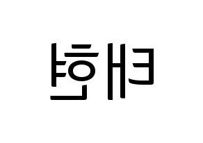 KPOP South Club(사우스클럽、サウスクラブ) 남태현 (ナム・テヒョン) コンサート用　応援ボード・うちわ　韓国語/ハングル文字型紙 左右反転