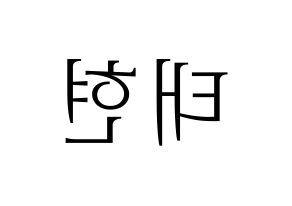 KPOP South Club(사우스클럽、サウスクラブ) 남태현 (ナム・テヒョン) 応援ボード・うちわ　韓国語/ハングル文字型紙 左右反転