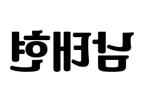KPOP South Club(사우스클럽、サウスクラブ) 남태현 (ナム・テヒョン) コンサート用　応援ボード・うちわ　韓国語/ハングル文字型紙 左右反転