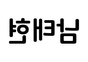 KPOP South Club(사우스클럽、サウスクラブ) 남태현 (ナム・テヒョン, ナム・テヒョン) k-pop アイドル名前　ボード 言葉 左右反転