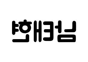 KPOP South Club(사우스클럽、サウスクラブ) 남태현 (ナム・テヒョン, ナム・テヒョン) 応援ボード、うちわ無料型紙、応援グッズ 左右反転