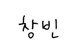 KPOP Stray Kids(스트레이 키즈、ストレイキッズ) 창빈 (チャンビン) k-pop 応援ボード メッセージ 型紙 通常