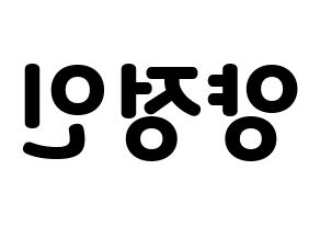 KPOP Stray Kids(스트레이 키즈、ストレイキッズ) 아이엔 (アイエヌ) 応援ボード・うちわ　韓国語/ハングル文字型紙 左右反転