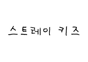 Kpop歌手 Stray Kids 스트레이 키즈 ストレイキッズ 応援ボード型紙 うちわ型紙 韓国語 ハングル文字