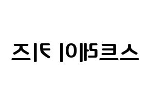 Kpop歌手 Stray Kids 스트레이 키즈 ストレイキッズ 応援ボード型紙 うちわ型紙 韓国語 ハングル文字