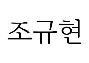 KPOP Super Junior-M(슈퍼주니어-M、スーパージュニア-M) 규현 (キュヒョン) 応援ボード・うちわ　韓国語/ハングル文字型紙 通常