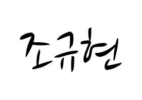 KPOP Super Junior-M(슈퍼주니어-M、スーパージュニア-M) 규현 (キュヒョン) k-pop 応援ボード メッセージ 型紙 通常