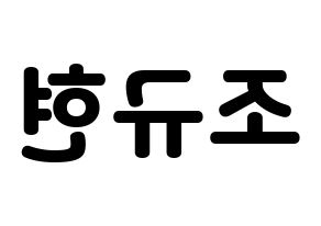 KPOP Super Junior-M(슈퍼주니어-M、スーパージュニア-M) 규현 (キュヒョン) 応援ボード・うちわ　韓国語/ハングル文字型紙 左右反転