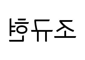 KPOP Super Junior-M(슈퍼주니어-M、スーパージュニア-M) 규현 (キュヒョン) コンサート用　応援ボード・うちわ　韓国語/ハングル文字型紙 左右反転