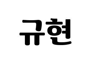 KPOP Super Junior-M(슈퍼주니어-M、スーパージュニア-M) 규현 (キュヒョン) コンサート用　応援ボード・うちわ　韓国語/ハングル文字型紙 通常