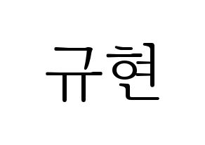 KPOP Super Junior-M(슈퍼주니어-M、スーパージュニア-M) 규현 (キュヒョン) 応援ボード・うちわ　韓国語/ハングル文字型紙 通常