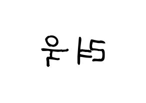 KPOP Super Junior-M(슈퍼주니어-M、スーパージュニア-M) 려욱 (リョウク) 名前 応援ボード 作り方 左右反転