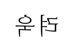 KPOP Super Junior-M(슈퍼주니어-M、スーパージュニア-M) 려욱 (リョウク) 応援ボード・うちわ　韓国語/ハングル文字型紙 左右反転