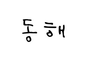 KPOP Super Junior-M(슈퍼주니어-M、スーパージュニア-M) 동해 (ドンヘ) 応援ボード ハングル 型紙  通常