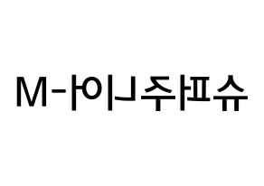 無料 KPOP Super Junior-M(슈퍼주니어-M、スーパージュニア-M) 無料応援ボード屋さん 左右反転