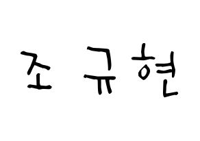 KPOP Super Junior(슈퍼주니어、スーパージュニア) 규현 (チョ・ギュヒョン, キュヒョン) 無料サイン会用、イベント会用応援ボード型紙 通常