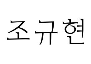 KPOP Super Junior(슈퍼주니어、スーパージュニア) 규현 (キュヒョン) 応援ボード・うちわ　韓国語/ハングル文字型紙 通常