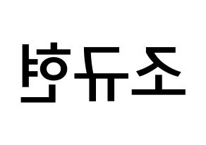 KPOP Super Junior(슈퍼주니어、スーパージュニア) 규현 (チョ・ギュヒョン, キュヒョン) 無料サイン会用、イベント会用応援ボード型紙 左右反転