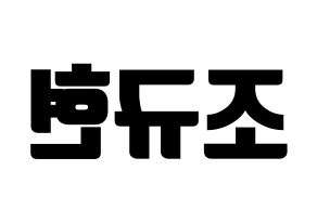 KPOP Super Junior(슈퍼주니어、スーパージュニア) 규현 (キュヒョン) コンサート用　応援ボード・うちわ　韓国語/ハングル文字型紙 左右反転