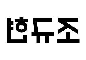 KPOP Super Junior(슈퍼주니어、スーパージュニア) 규현 (キュヒョン) 名前 応援ボード 作り方 左右反転