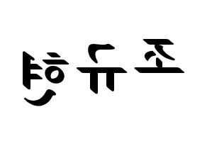 KPOP Super Junior(슈퍼주니어、スーパージュニア) 규현 (キュヒョン) 応援ボード ハングル 型紙  左右反転