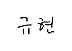 KPOP Super Junior(슈퍼주니어、スーパージュニア) 규현 (チョ・ギュヒョン, キュヒョン) k-pop アイドル名前　ボード 言葉 通常