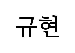 KPOP Super Junior(슈퍼주니어、スーパージュニア) 규현 (キュヒョン) プリント用応援ボード型紙、うちわ型紙　韓国語/ハングル文字型紙 通常