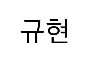 KPOP Super Junior(슈퍼주니어、スーパージュニア) 규현 (キュヒョン) コンサート用　応援ボード・うちわ　韓国語/ハングル文字型紙 通常