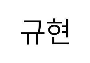 KPOP Super Junior(슈퍼주니어、スーパージュニア) 규현 (キュヒョン) プリント用応援ボード型紙、うちわ型紙　韓国語/ハングル文字型紙 通常